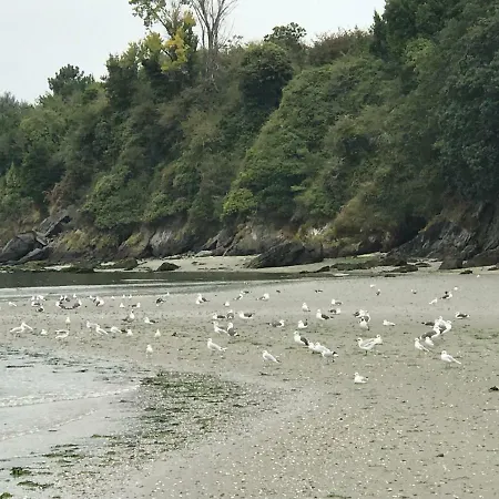 公寓 Playas De 8 Personas